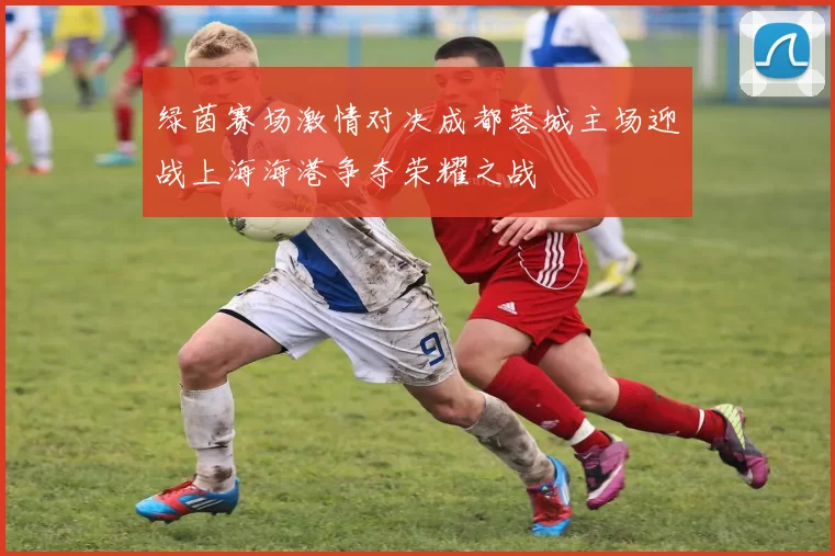 绿茵赛场激情对决成都蓉城主场迎战上海海港争夺荣耀之战
