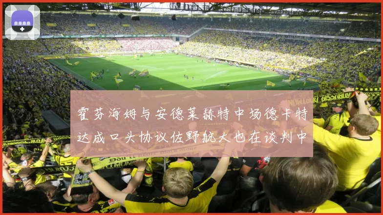 霍芬海姆与安德莱赫特中场德卡特达成口头协议佐野航大也在谈判中